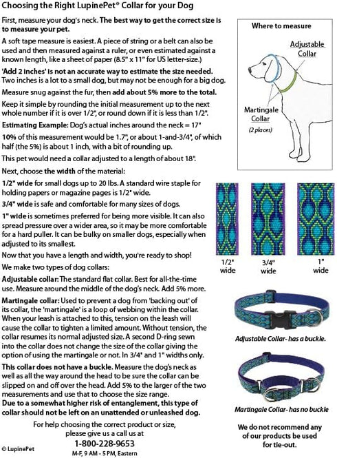 Lupine Small Martingale Dog Collar 3/4" wide Petunias Adjusts from 10" to 14"...