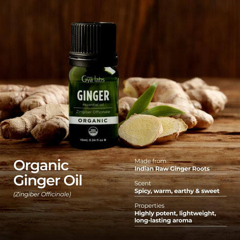 Gya Labs USDA Certified Organic Ginger Essential Oil for Skin - 100% Pure Natural Organic Ginger Oil for Hair & Diffuser, Natural Aromatherapy for...