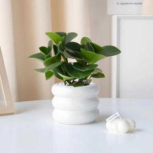 Ceramic Plant Pot Indoor, 4.5 Inch Flower Pot with Drainage Hole, Small Bubble Design Ceramic Planter for Home & Office Decor (White)...