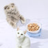 FattyBee 200 Pcs Pets White Disposable Feeding Bowls Liner, Disposable Pet Bowls, Small Paper Bowls/Liners, Paper Liner for Small Cat Bowl, Cat Di...