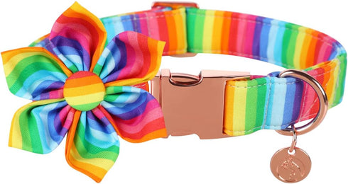 DOGWONG Cotton Pride Dog Collar, Rainbow LGBTQ Dog Collar Puppy Pet Collar for Small Medium Large Dog...