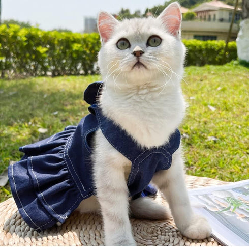 ANIAC Denim Dog Dresses for Small Dogs Puppy Girl Clothes with Leash Ring and Cute Bow Knot Summer Cat Apparel with D-Ring Blue Girl Dog Clothes (...