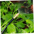 50pcs drip Irrigation Nozzle Mist Spray Nozzle atomizing Nozzle Lawn Sprayer Nozzle Irrigation System Hose Spray Nozzle Adjustable Spray Nozzle Co...