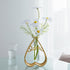 Gold Plastic and Metal Propagation Station with Hydroponic Bottle...