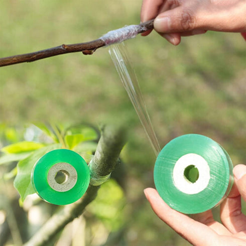2Pcs Grafting Tape for Fruit Trees,Nursery Sealing PVC Stretchable Garden Parafilm Tape Plants Repair Budding Tape for Garden Tree Seedling...