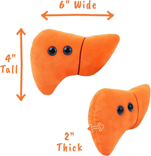GIANTmicrobes Stuffed Liver Plush, Liver Stuffed Animal, Anatomical Liver, Hepatologist Gift, Liver Transplant Gifts, Hepatitis Gift, Hepatology G...