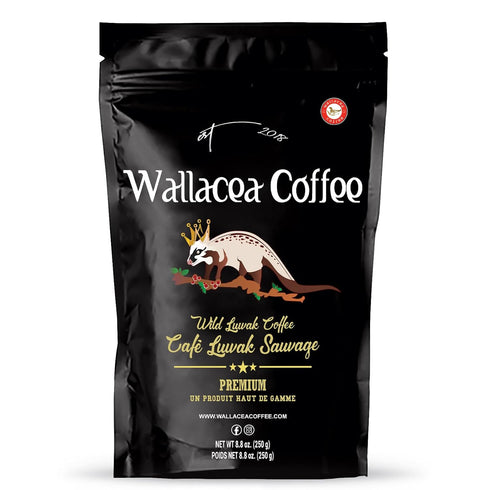 Wallacea Coffee Certified Wild Kopi Luwak Coffee Beans, Civet Coffee, Kopi Luwak From Gayo Sumatra Indonesia, coffee beans (8.8 oz)...