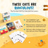 Name That Kitty - Purrrfect for Kids Games- Cat Gifts for Girls - Cat Crafts for Kids and Cat Themed Gifts for Girls - Makes Great Cat Gifts for C...