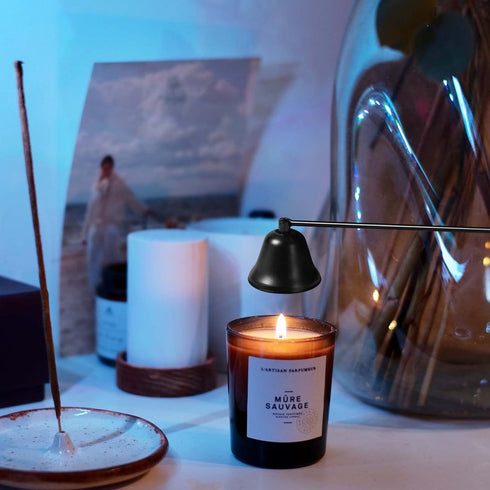 Kirecoo Candle Snuffer Extinguisher with Long Handle, Polished Stainless Steel Wick Flame Snuffer for Putting Out Wick Flame Safely, Black Candle ...