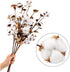 Ageomet 4pcs Cotton Stems 21" Artificial Cotton Flowers, Total 24 Balls Dried Floral Stems Cotton Decor for Farmhouse Decoration, Home Wedding Dec...