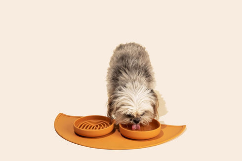 The Perfect Dish - Durable Dog Water Bowl - No Spill - Less Mess Non-Tippable Water & Food Bowl, Pure Silicone, Spill Proof with Suction Cup, Suit...