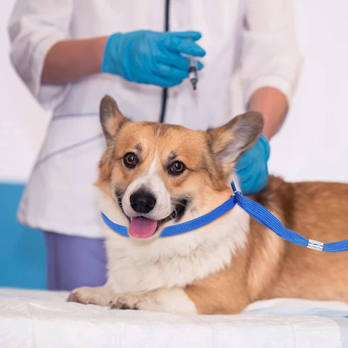 Dog Grooming Loops Leash, 3 Pack Dog Cat Safety Rope for Dog Bathtub Adjustable Fixed Groomers Helper Grooming Loop Pet Bathing Supplies...