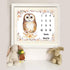 Owl Baby Monthly Milestone Blanket, 48x40in Soft Flannel, Flower Watercolor Backgrounds, Newborn Mom Gifts, Baby Shower Age Growth Tracker with Bo...