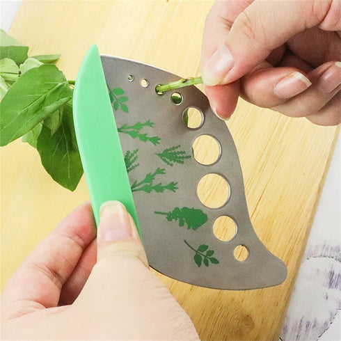 Herb Stripper,Green 9 holes Stainless Steel Kitchen Herbs Leaf Stripping Tool, Metal Herb Peeler for Kale, Collard Greens, Thyme, Basil, Rosemary ...