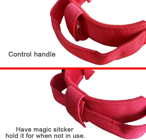 Tactical Dog Collar Military Dog Collar Adjustable Nylon Dog Collar Heavy Duty Metal Buckle with Handle for Dog Training (Red,S)...