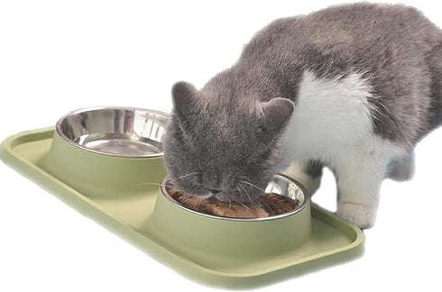 Cat Bowls for Food and Water,Premium Removable Stainless Steel Double Bowls with Non-slip Bottom,Elevated Stand for Pet and Small Dog,Non-Spill Ca...