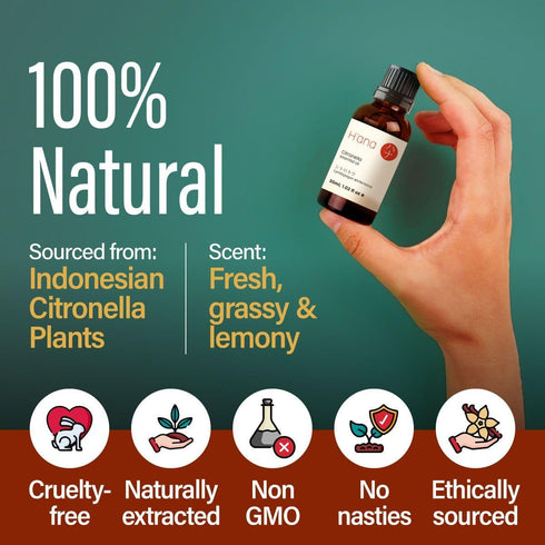 H’ana Citronella Oil - 100% Pure and Natural Citronella Essential Oil for Candle Making, Diffuser, and Aromatherapy - with a Fresh, Grassy Scent (...