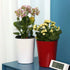 7 inch Plastic Self Watering Plant Pots with Water Level Indicator White Set of 1, Modern Decorative Flower Pots for All House Plants, Flowers, He...
