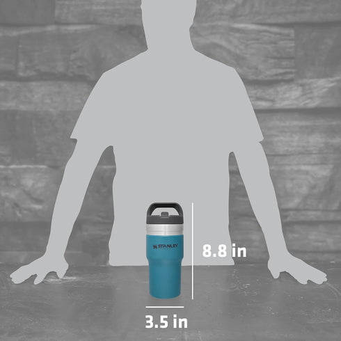Stanley IceFlow Stainless Steel Tumbler with Straw - Vacuum Insulated Water Bottle for Home, Office or Car - Reusable Cup with Straw Leakproof Fli...