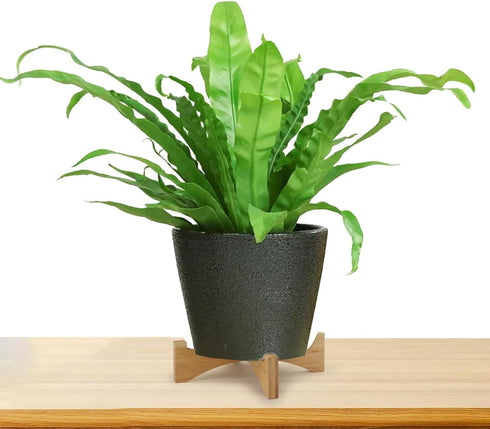 Wood Plant Stand,Bamboo Plant Stand,Sturdy and Stable Flower Pot Stand,Mid Century Modern Planter Holder,Decorative Plant Pot Holder for Indoor Ou...