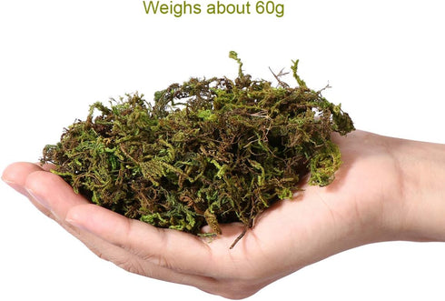 VOSAREA 1 Pack Artificial Moss Fake Lichen Simulation Green Faux Pot Moss for DIY Miniature House (About 60g)...