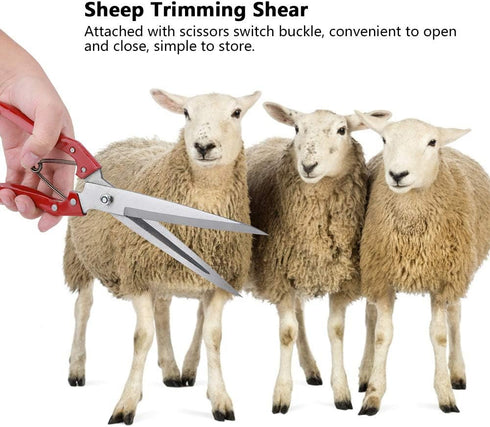 Sheep Shear, Sheep Scissor, Professional Stainless Steel Safety Sheep Wool Shear with Spring for Grooming Heavy Duty Coated Pet Grooming Scissor f...