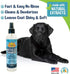 Bodhi Dog Waterless Shampoo | Natural Dry Shampoo for Dogs or Cats | Neutralizes Pet Odor | No Rinse Required | Made with Natural Extracts | Vet A...