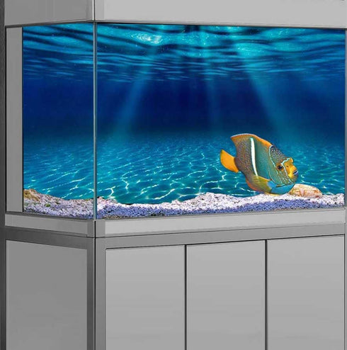 Natural Undersea Aquarium Background, Underwater Ocean Sunlight Fish Tank Background 60X24IN with 8 EVA Double-Sided Tape...