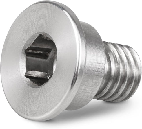Bevinsee Brake Disc Rotor Screw Compatible with BMW E36 E46 E90 F30 323i 330Ci 330d 330xi M3, Stainless Steel Retaining Screws Replaced for 342111...