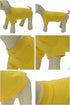 Lovelonglong 2019 Pet Clothing Dog Costumes Dachshund Clothes Blank T-Shirt Tee Shirts for Dachshund Dogs,Corgi 100% Cotton Yellow D-S...