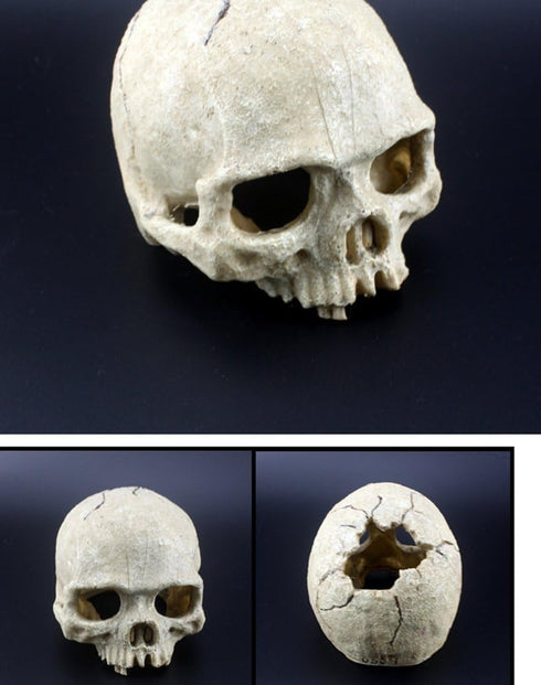 Hewnda Aquarium Decor Resin Artificial Head Skeleton Decoration - Aquarium Otaru Aquarium Decorative Cave Landscape Pet Reptile House...
