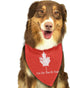 I'm On The Eh Team Canada Canadian Dog Bandana,Dog Bandanas Triangle Bibs Scarf Accessories for Small Medium Large Dogs Cats Pets Animals…...