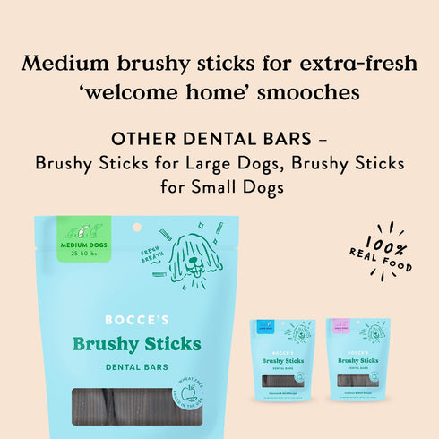 Bocce's Bakery Dailies Brushy Sticks to Support Oral Health & Fresh Breath, Wheat-Free Dental Bars for Dogs, Made with Real Ingredients, Baked in ...
