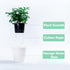 5.2“ Self Watering Planter White Flower Pot, 3 Pcs Medium Planter Pot, Mini Plant Pot, for All Plants, Herbs, African Violets, Succulents, Flowers...
