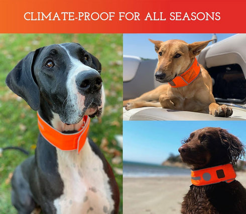 SPOT THE DOG! Reflective Dog Collar - Adjustable Pet Collars, Safe, Durable, Comfortable Dog Walking Accessories for Large Dog, Hunting Dog, Puppy...