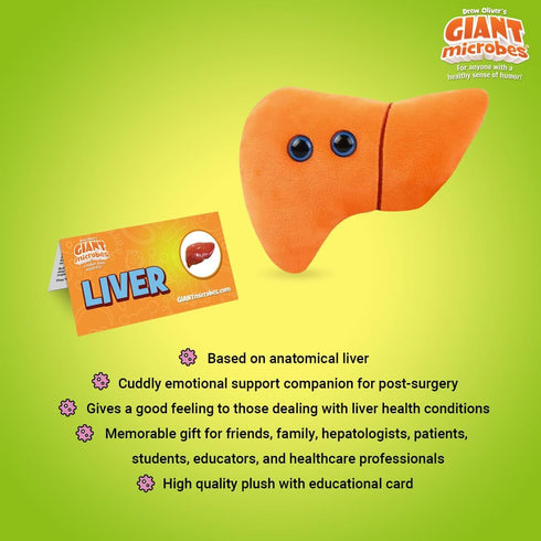 GIANTmicrobes Stuffed Liver Plush, Liver Stuffed Animal, Anatomical Liver, Hepatologist Gift, Liver Transplant Gifts, Hepatitis Gift, Hepatology G...