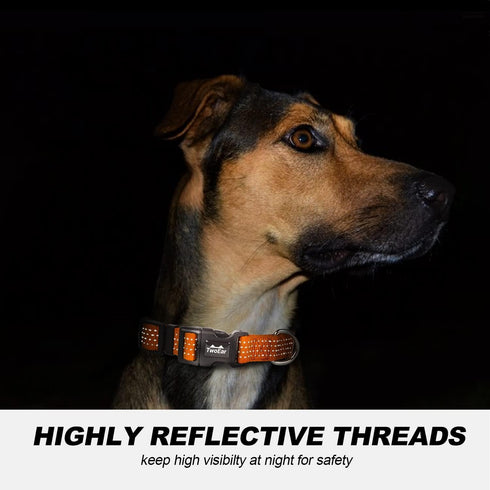 TwoEar Heavy Duty Dog Collar Reflective, Adjustable Nylon Pet Collar with Durable Buckle for Smal Breeds Dog?S, Orange?...