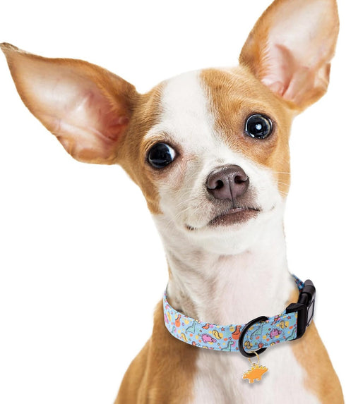 Faygarsle Dog Collar for Small Medium Large Dogs Cute Blue Puppy Collars for Male Dogs Dinosaur Patterned Pet Collars for Summer Spring Wedding Pu...