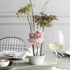 Villeroy & Boch Cellini Fruit Dish, 5 in, Premium Porcelain, White...