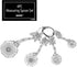 Ganz 4-Piece Measuring Spoon Set with Color, Ladybugs Silver...