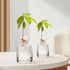 Avocado Seed Sprout Starter Planter Vase - Glass Avocado Tree Growing Vase Planter Pot Grow Avocado Trees Stickers at Garden Home for Planter Love...