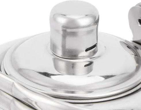 Teapot, 304 Stainless Steel Water Kettle Stove Top Tea Pot Flat Bottom Teakettle with Filter and Lid for Brewing Loose Leaf and Tea Bags, Compatib...