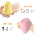 24pcs Makeup Sponge Blender Set - 21 Pcs Latex-Free Vegan Sponges with 3 Pcs Makeup Blender Holder, Beauty Cosmetic Foundation Blending Powder Puf...