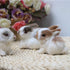 Mini Simulation Rabbits, Realistic Cute Plush Rabbits Lifelike Plush Bunny Realistic Rabbit Miniatures Cute Stuffed Animal Figurines, White Rabbit...