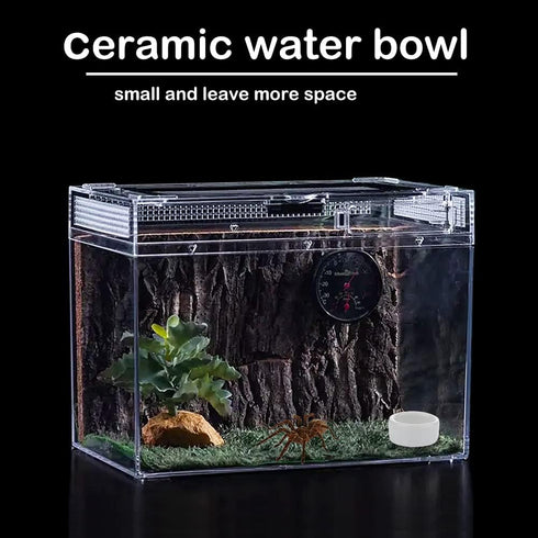 8 Pcs Spider Micro Ceramic Water Bowl Tarantula Mini Dish for Tarantula Spider Scorpion Cricket Snail Manti Millipede Tiny Bugs (White)...