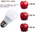 12V Light Bulb A15 3W Soft White 3000K E26 Screw Base 12v led bulb DC 12 volt 24v 36v 48v Low Voltage Lights for Solar Battery System,RV,Marine Bo...