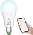 Alexa Led Light Bulbs, A19 E26 Smart Bulb, 130W Equivalent, Warm White to Daylight, 13 Watt Bluetooth Remote Control Light Bulb,Energy Saving,for ...