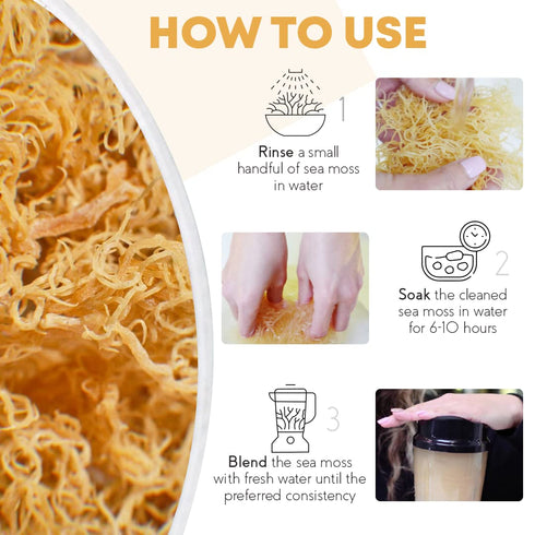 Organics Nature Raw Wildcrafted Sea Moss | Organic Wildcrafted & Non-GMO Certified | Dr Sebi Approved | Make 5 Jars of Sea Moss Gel | Immune Suppo...