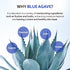T'ELSE Blue Agave Hyaluronic Acid Mask 25ml*5ea, Watery Sheet Facial Mask with Close Adhesion, Moisturizing Facial Essence with Excellent Hydratio...