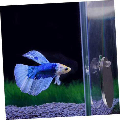 1 Set Acrylic Betta Training Mirror Round Mirrors Double Sided Mirror Fish Aquarium Decoration Betta Training Exercise Fighting Fish Mirror Floati...